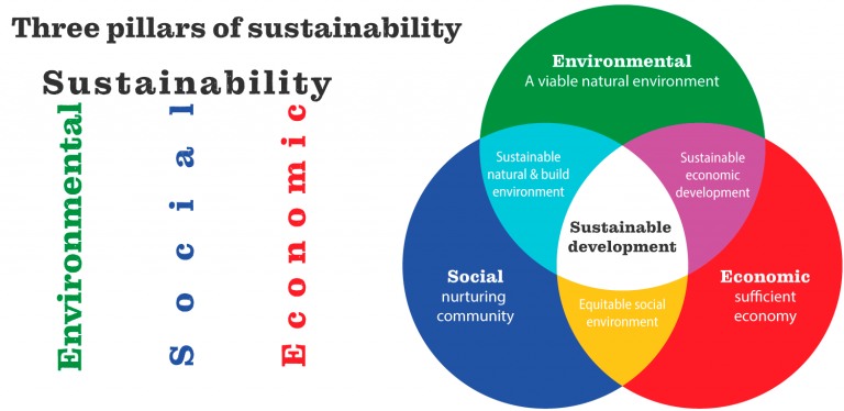 divilly-meats-sustainability-at-divilly-s